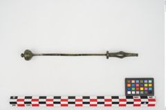 Foto von Bronzekugelkopfnadel (NHMW-PRAE-025602)